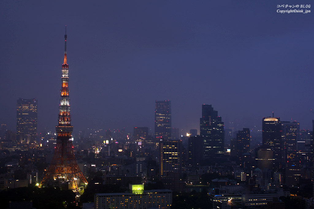 東京タワーを撮ってみる_c0009042_512212.jpg