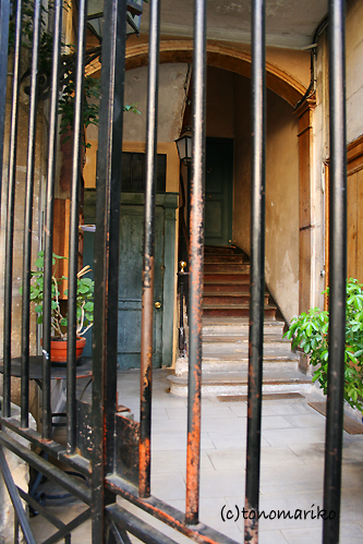 c0024345_84485.jpg