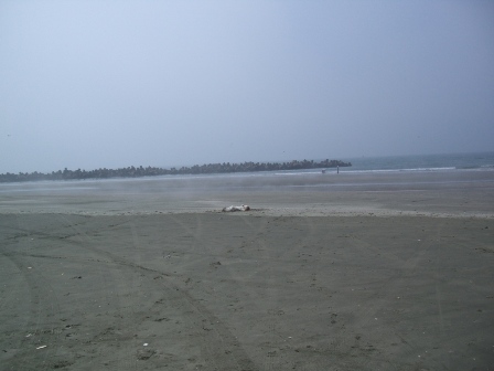 f0080745_18552387.jpg