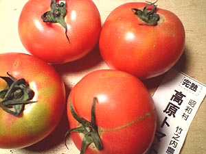 ☆野菜のパワー☆_c0092953_6264281.jpg