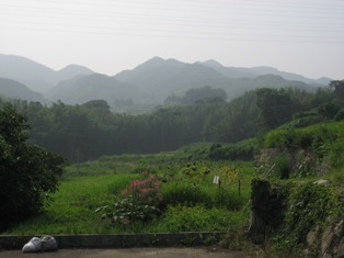 f0139253_96368.jpg