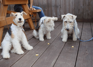 b0091373_23403282.gif