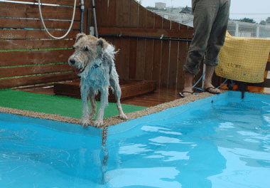 b0091373_23545570.gif