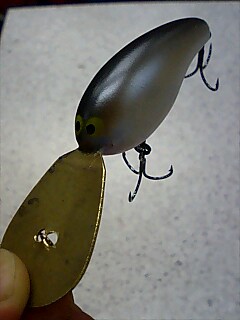 昨日の釣り_a0040876_21382230.jpg