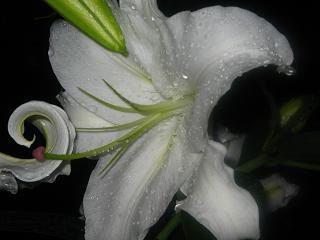 c0077283_20494014.jpg