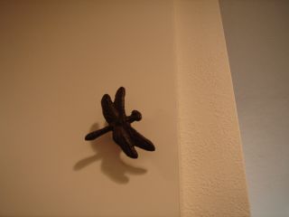 2007年7月30日 仕事やめたの~???とお電話。 _b0098584_22183017.jpg