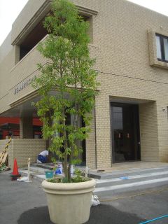 2007年7月30日 仕事やめたの~???とお電話。 _b0098584_22213589.jpg