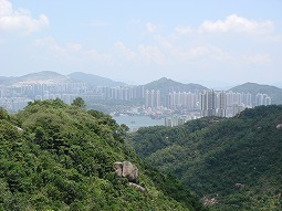 f0067584_22352318.jpg
