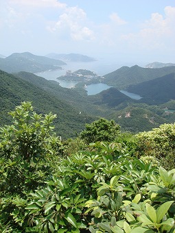 f0067584_233364.jpg