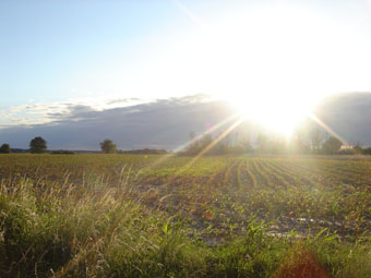 Bonjour! Correze~Marzelle_a0093595_0234066.jpg