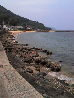 d0116009_33486.jpg
