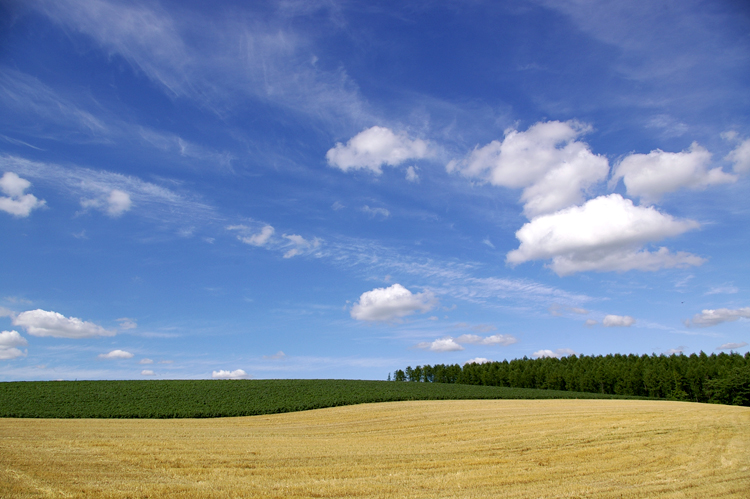 雲_c0033513_22594036.jpg