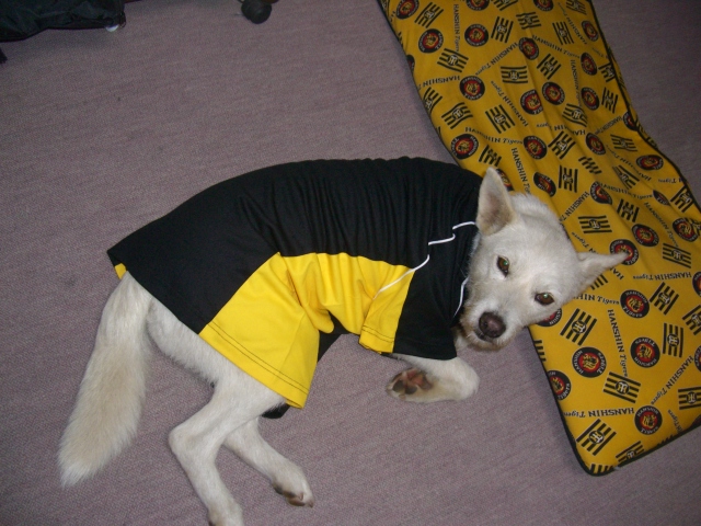c0123029_03317.jpg