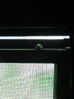 f0076529_14523223.jpg