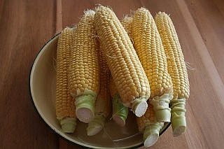 f0039933_2251193.jpg