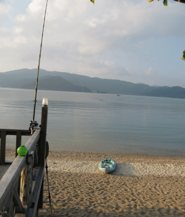 b0100637_17241652.gif