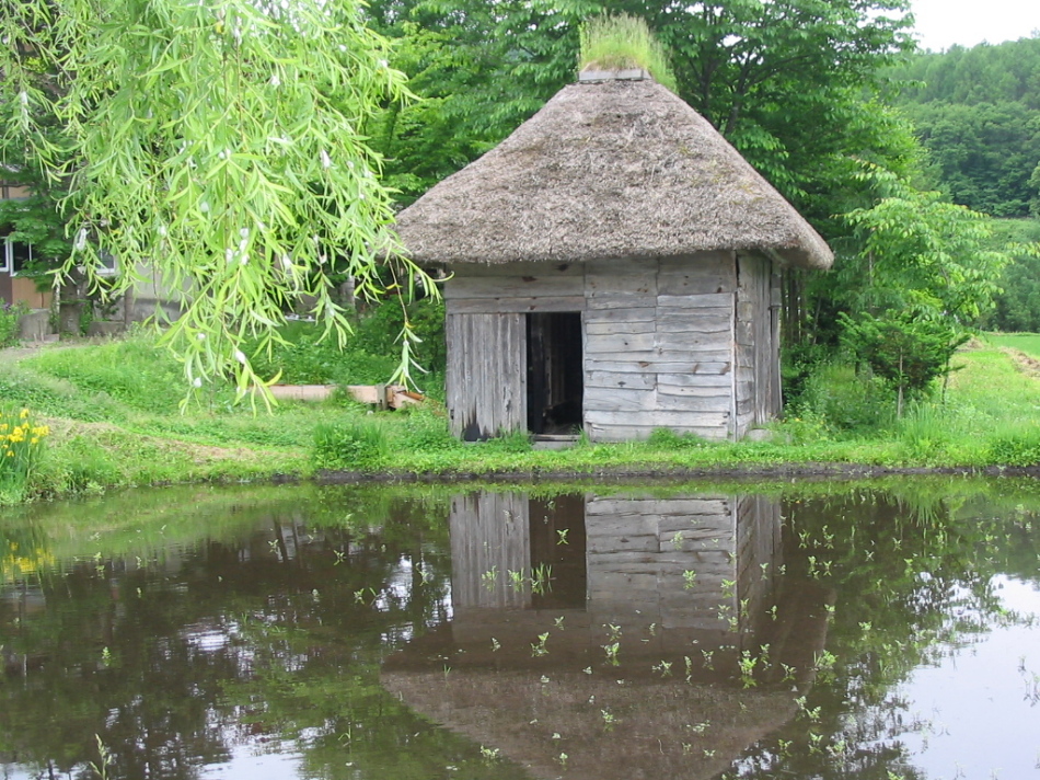 雨に煙るもの_d0001843_1245948.jpg