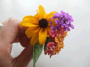 a0085647_11204916.gif