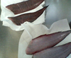 b0012252_05943.jpg
