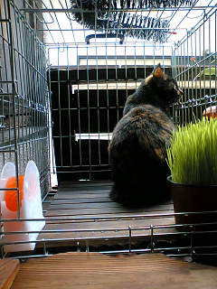a0053063_2255672.jpg