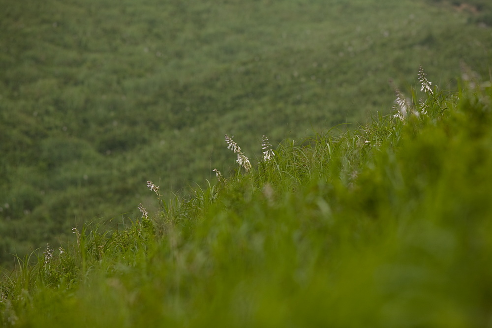 e0015567_2172681.jpg