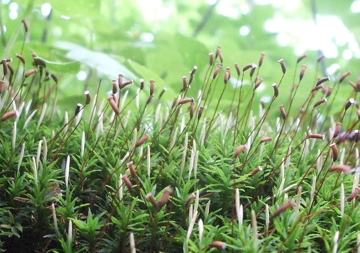 b0067569_23475971.jpg