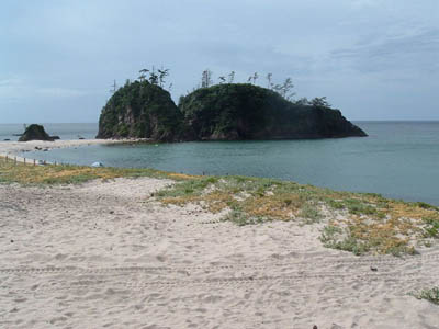 e0008674_23385115.jpg