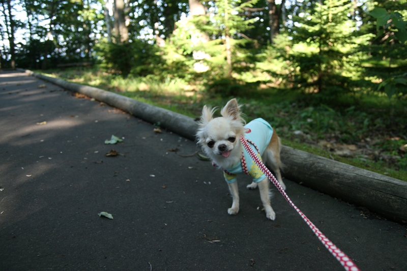a0016775_05293.jpg