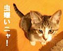 c0126176_14273935.jpg