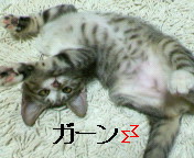 c0126176_14294910.jpg