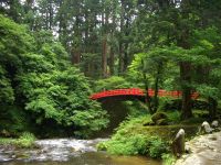 夏の羽黒山はいかがでしょう・・・旅リポ第?弾!!_d0029276_10304025.jpg