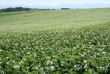 d0025894_09591.jpg