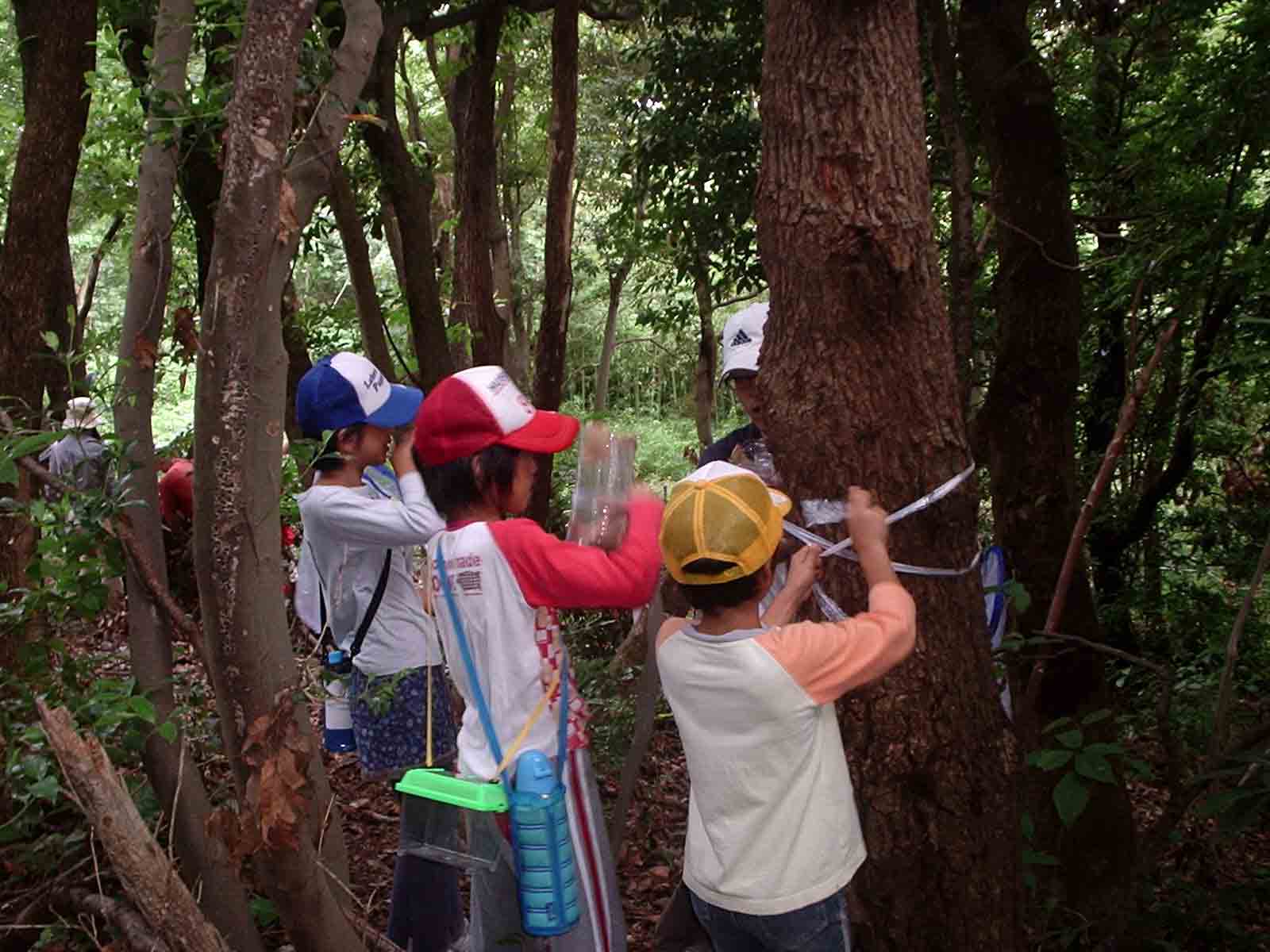 のこのしま自然観察会（7/21,22）が開催されました！_c0123095_2252943.jpg