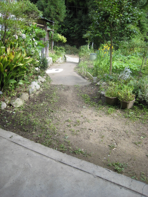 e0111396_18379.jpg