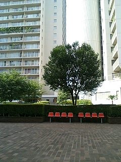 c0027700_9231683.jpg