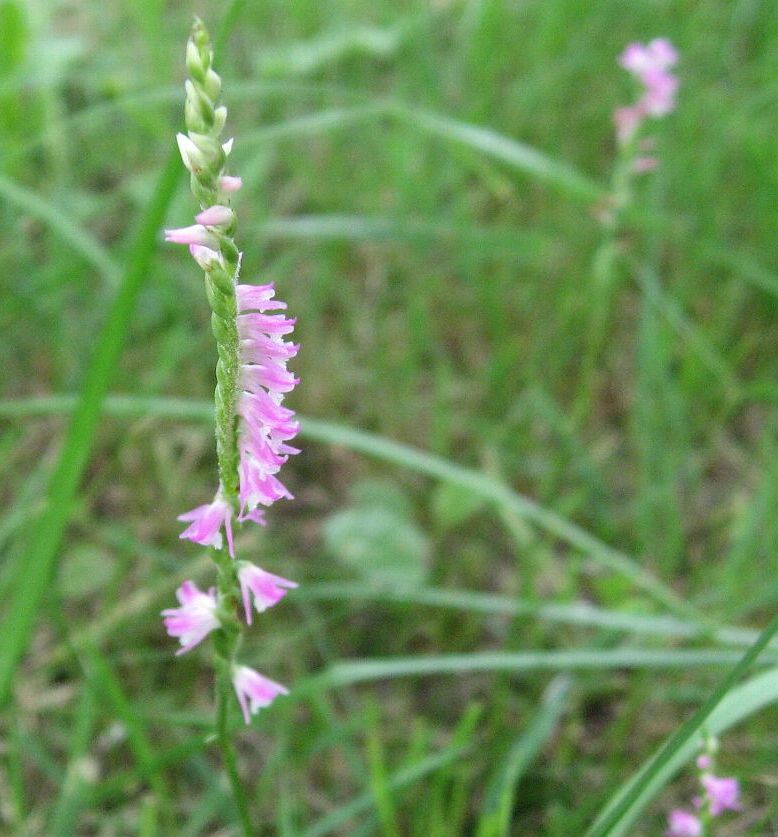 e0003910_2331462.jpg