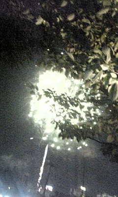 e0072113_11465558.jpg