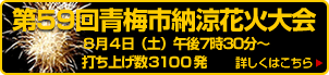 東京都青梅市の花火大会情報_d0085214_15282032.gif