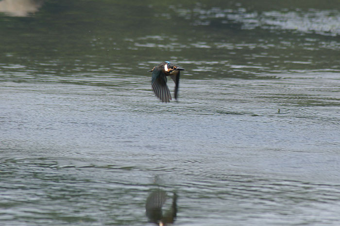 d0089024_22433597.jpg