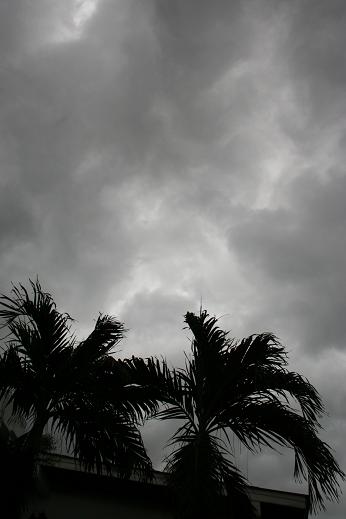 d0042827_07027.jpg