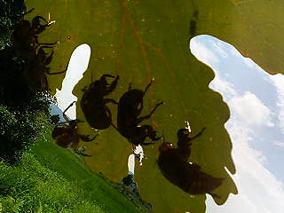 f0085327_2312456.jpg