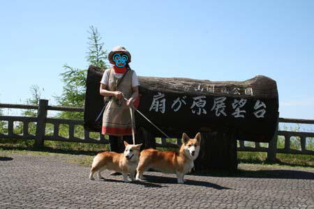 e0077528_22215755.jpg