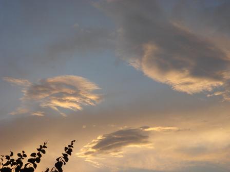 a0014840_2015759.jpg