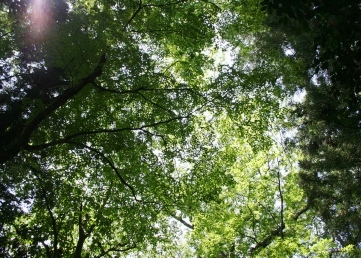 b0025850_2122271.jpg