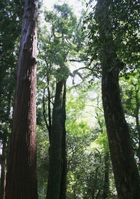 b0025850_21254161.jpg