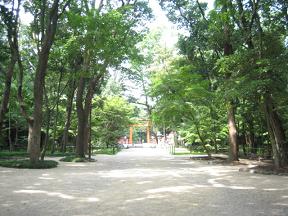 去年に引き続き~♪_c0049950_16382681.jpg