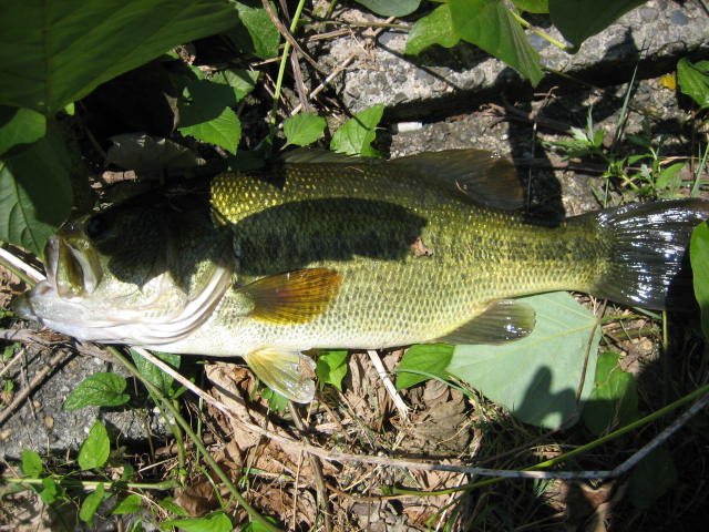 c0127358_038257.jpg