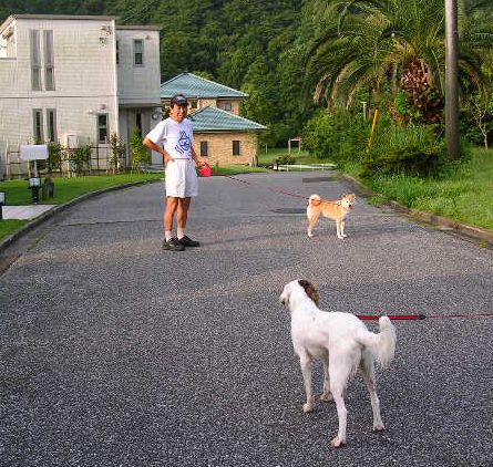 2007年8月1日・・・晴れ、時々曇り_f0060461_14344795.jpg