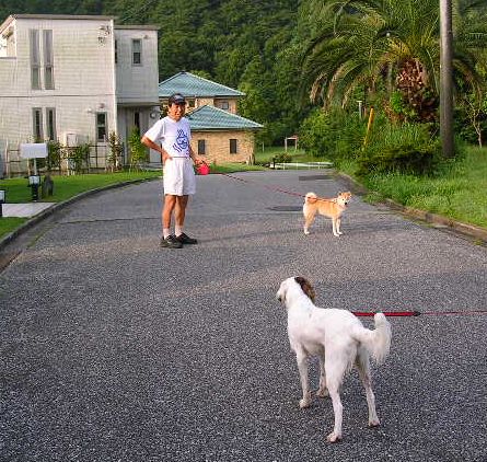 ２００７年８月１日・・・晴れ、時々曇り_f0060461_14344795.jpg