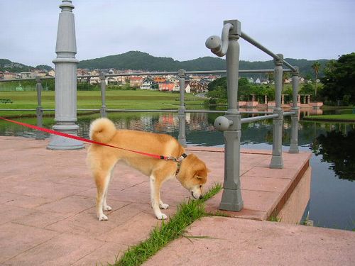 2007年8月1日・・・晴れ、時々曇り_f0060461_1441618.jpg
